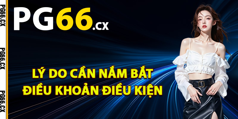 Lý do cần nắm bắt điều khoản điều kiện