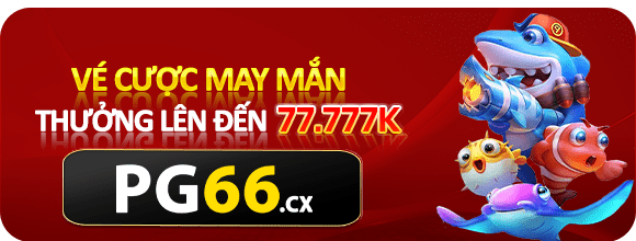 khuyến mãi PG66